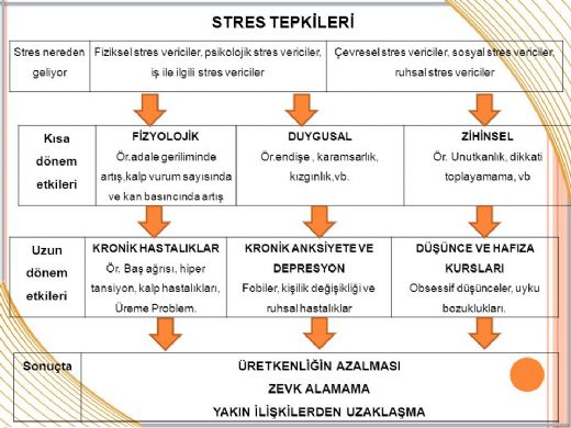 Stres Mekanizması Nedir?